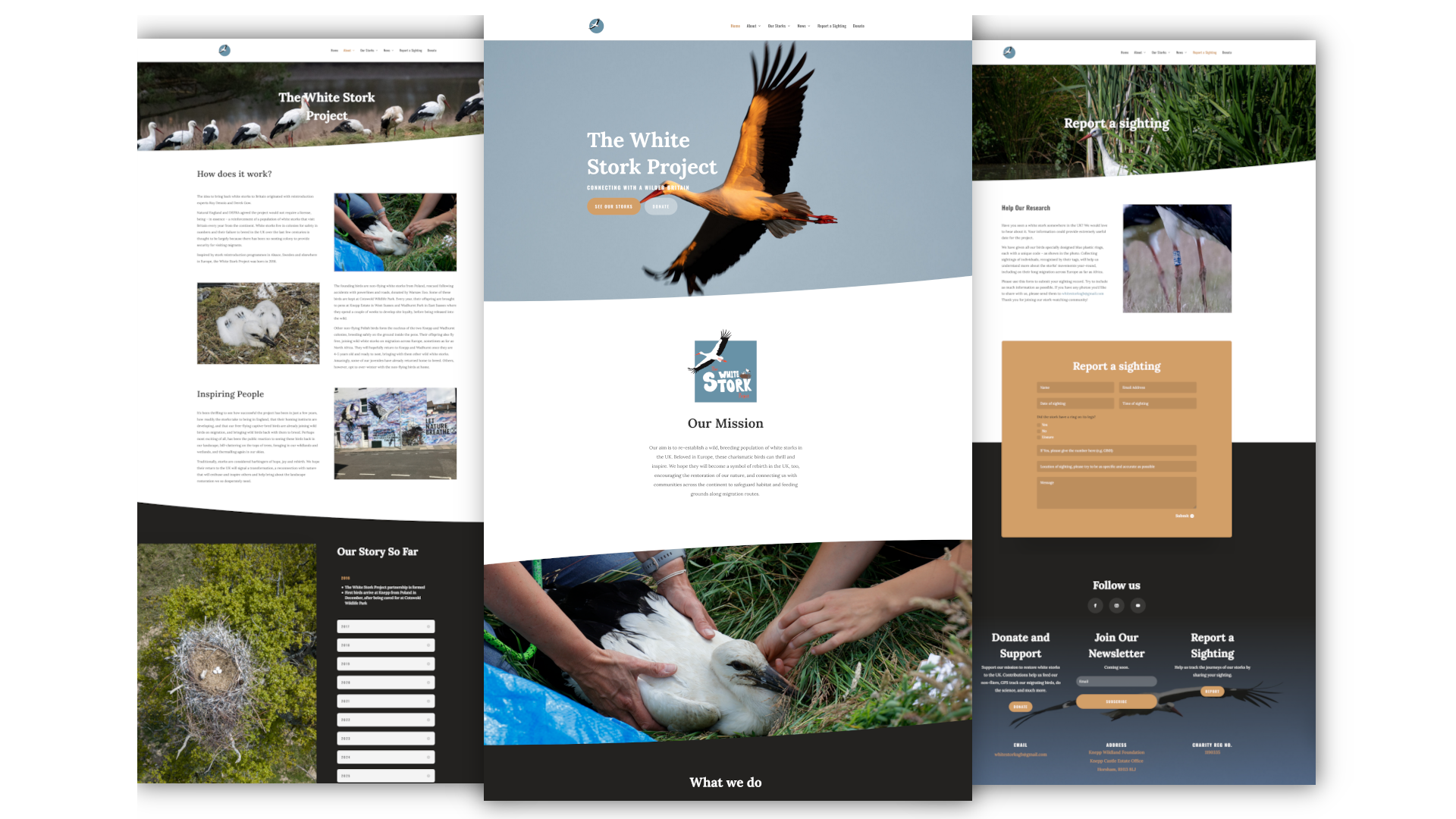 White Storks Showcase